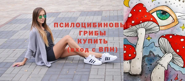 ГАЛЛЮЦИНОГЕННЫЕ ГРИБЫ Слюдянка