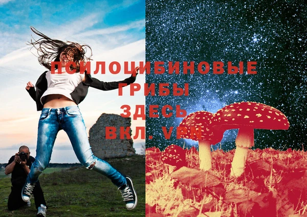спиды Белокуриха