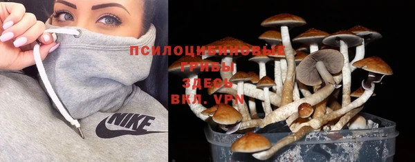 первитин Белоозёрский