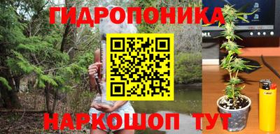 jwh Свободный