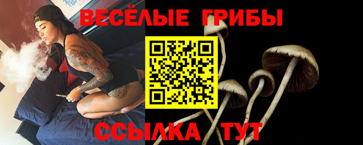 Галлюциногенные грибы MAGIC MUSHROOMS Буйнакск