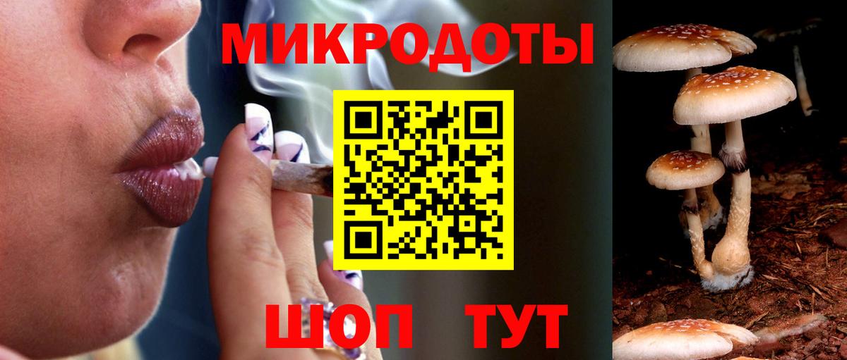 Псилоцибиновые грибы Cubensis  Вход с VPN  закладка  Галлюциногенные грибы Cubensis  Буйнакск 